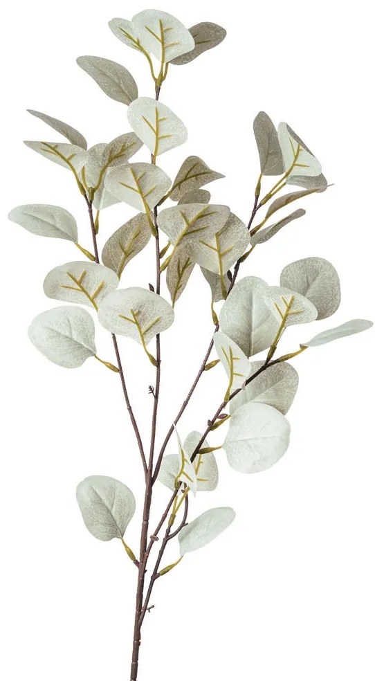 XXXLutz DEKORAČNÁ VETVIČKA eukalyptus 73 cm - Kvetinové dekorácie - 006860023702