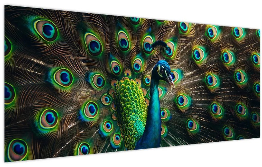 Obraz – Páv (120x50 cm)