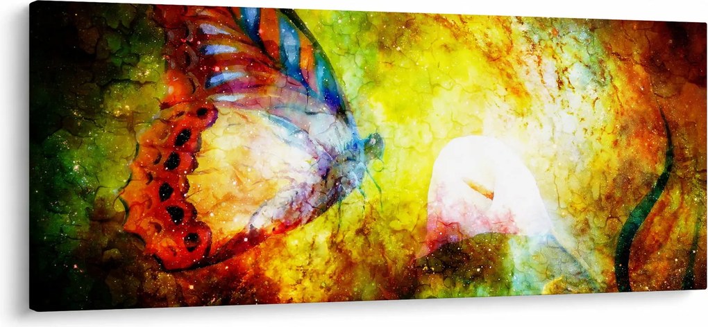 Obraz - Kozmický motýľ (120x50 cm)