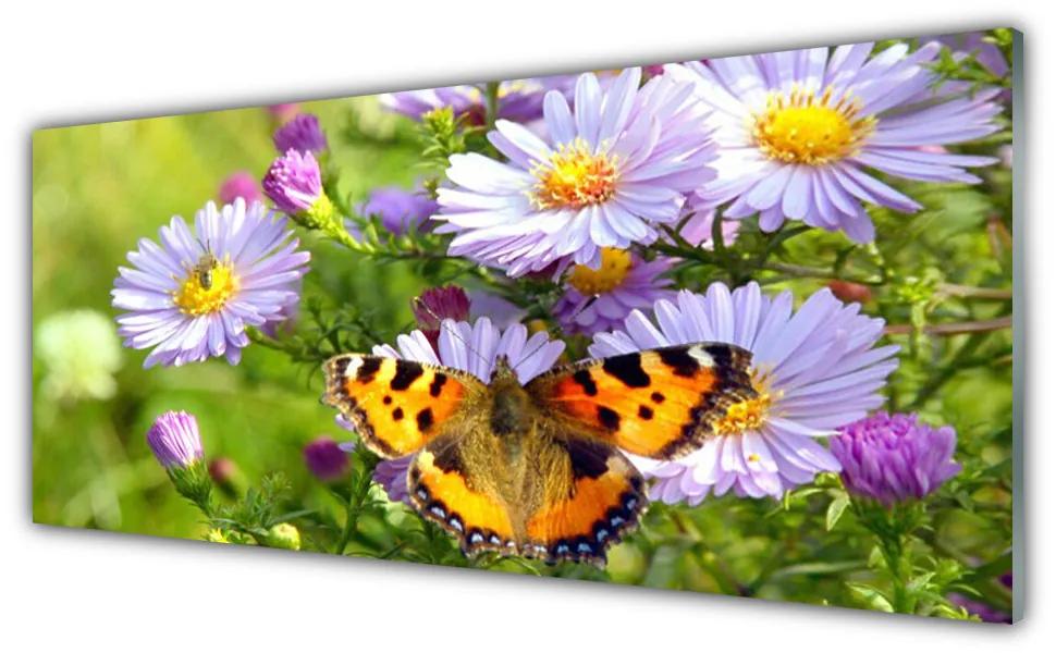 Obraz na akrylátovom skle Kvety motýľ príroda 125x50 cm