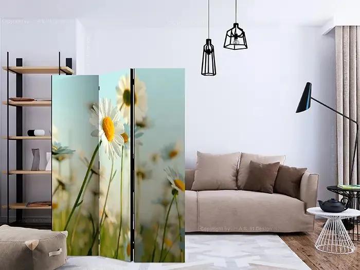 Paraván - Daisies - spring meadow [Room Dividers] Veľkosť: 135x172, Verzia: Jednostranný