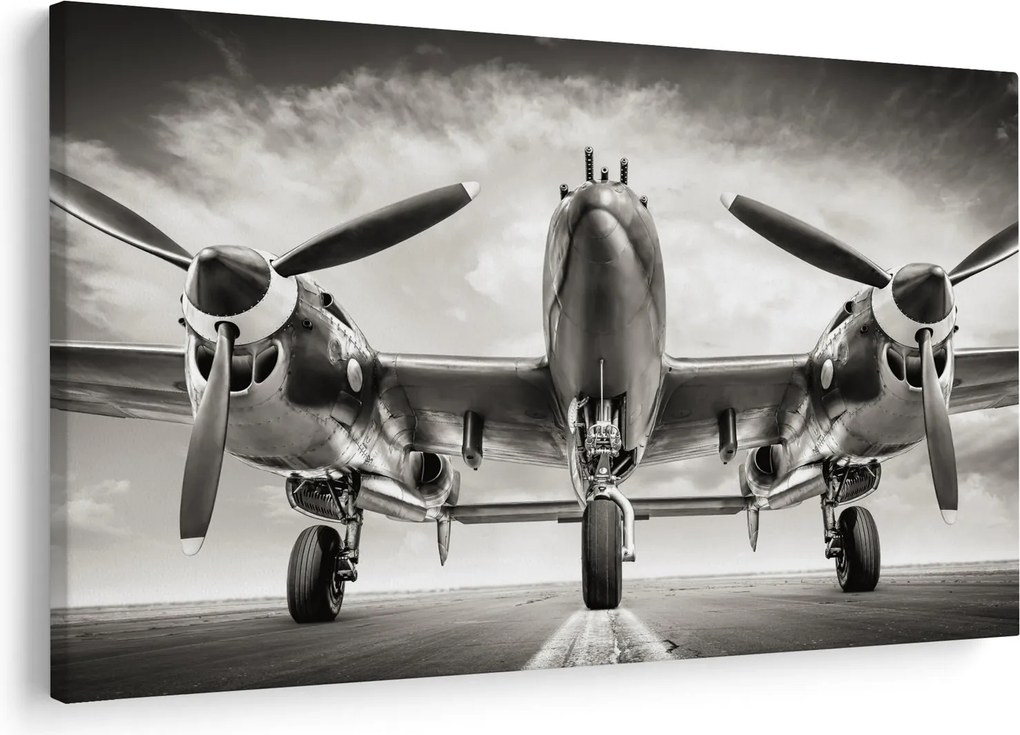 Obraz - Warbird (90x60 cm)