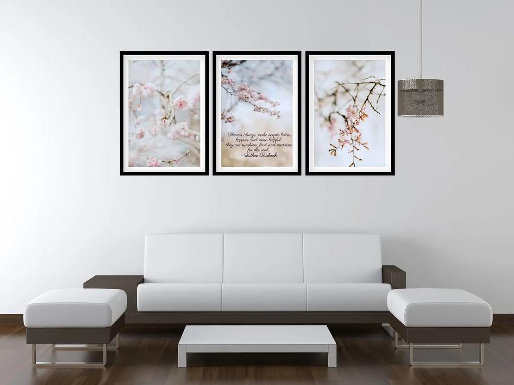 Gario Sada plagátov Kvitnúca višňa - 3 dielna Farba rámu: Zlatá, Veľkosť: 135 x 63 cm
