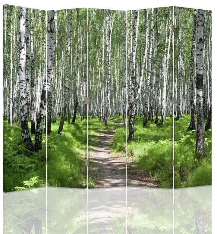 Ozdobný paraván Příroda březového lesa - 180x170 cm, päťdielny, klasický paraván