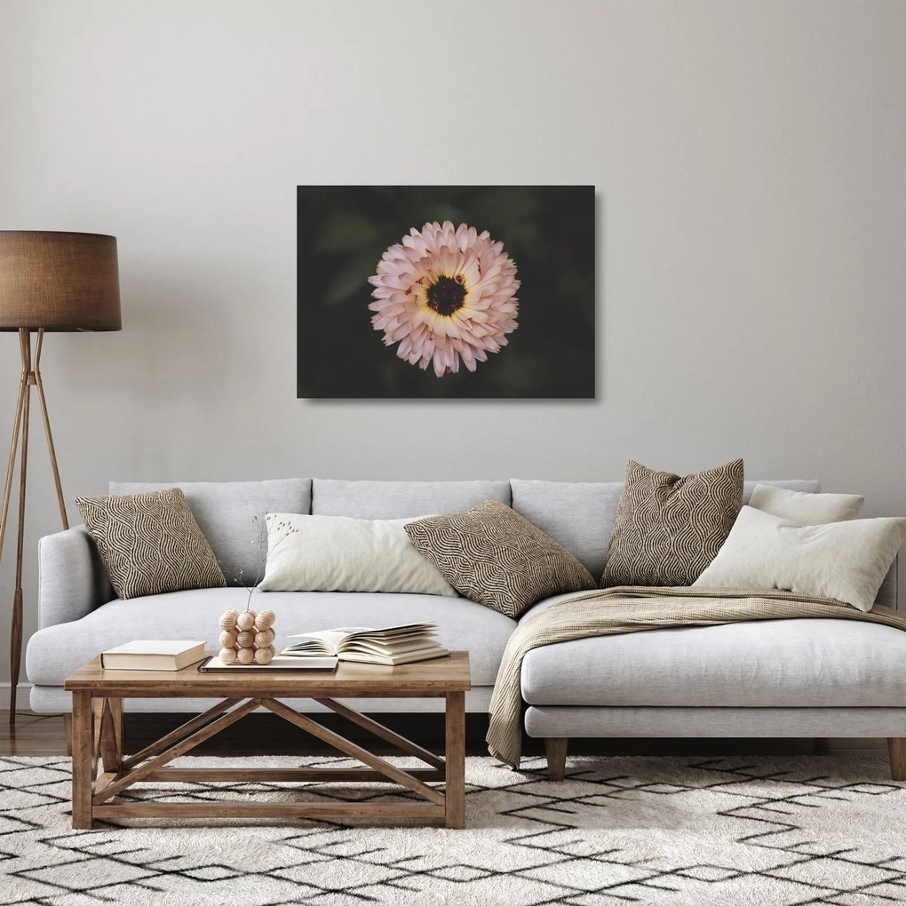 Sklenený obraz oranžovej kvetiny (70x50 cm)