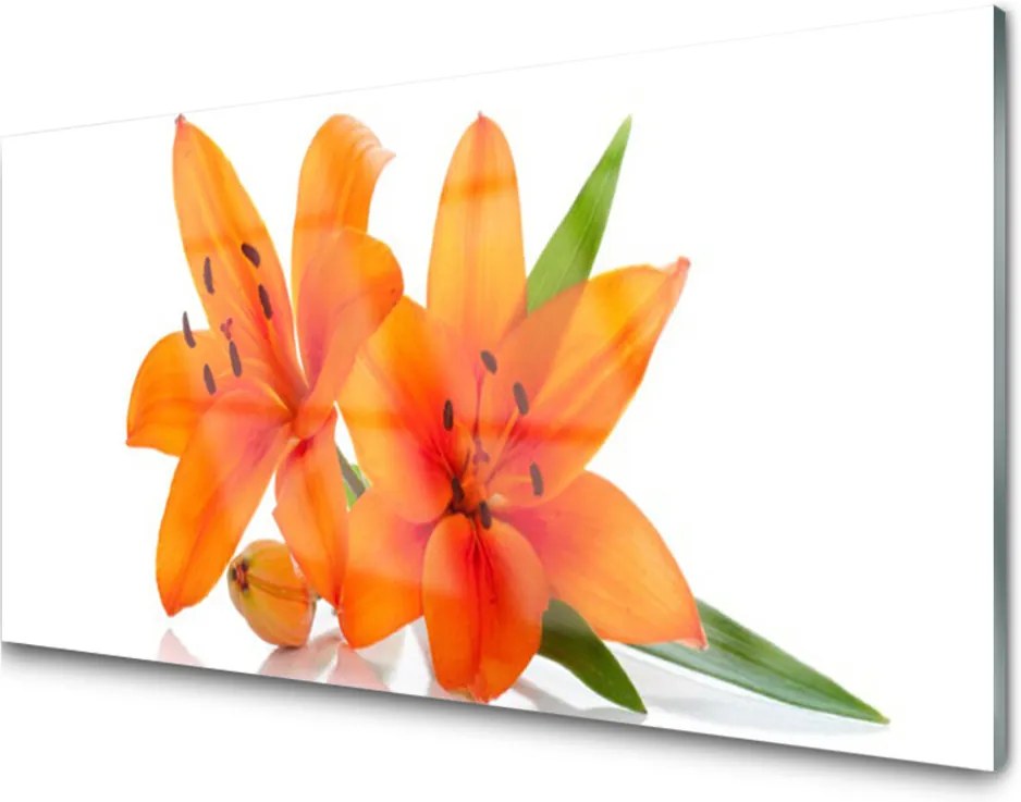 Akrylové obraz Oranžové květiny