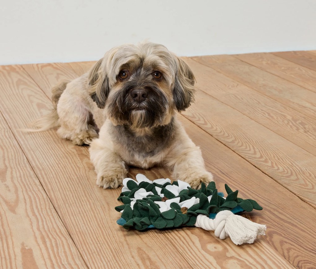 Ňuchacia hračka pre zvieratá