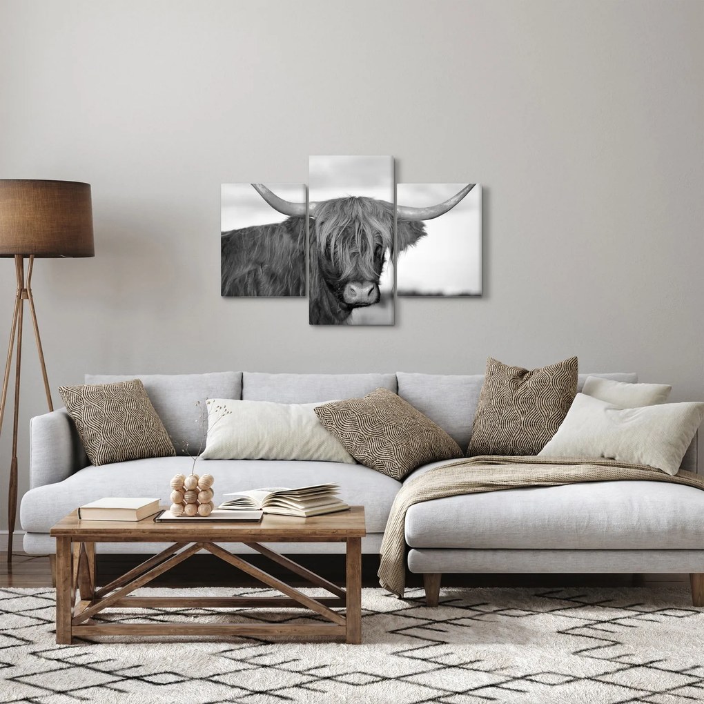 Obraz - Škótska krava 2, čiernobiela (90x60 cm)
