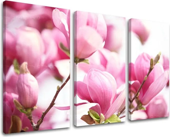 Obraz na stenu 3 dielny KVETY KV002E30 - 90x60 cm