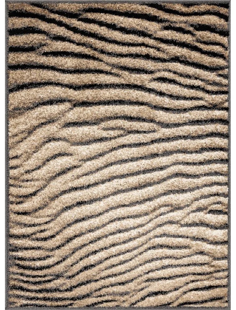 Hnedý koberec 160x220 cm Avanti – FD