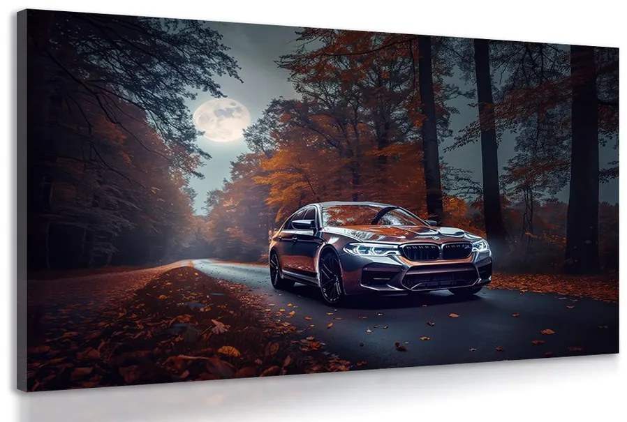 Obraz BMW v splne mesiaca