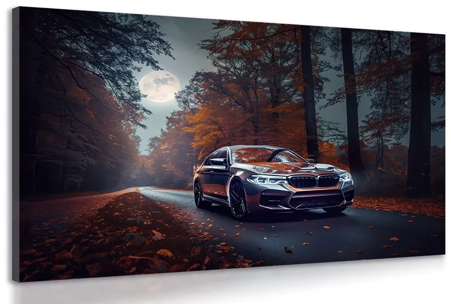 Obraz BMW v splne mesiaca