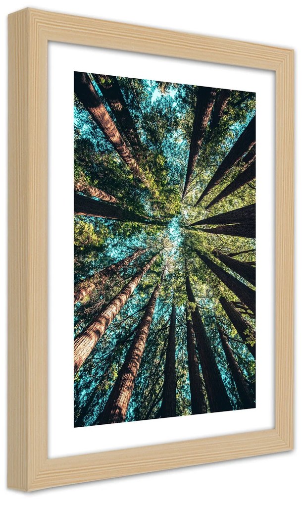 Gario Plagát Konáre vysokých stromov Farba rámu: Bez rámu, Rozmery: 40 x 60 cm