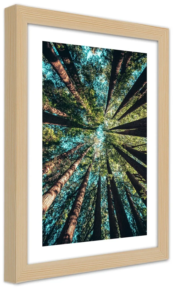Gario Plagát Konáre vysokých stromov Farba rámu: Bez rámu, Rozmery: 60 x 90 cm
