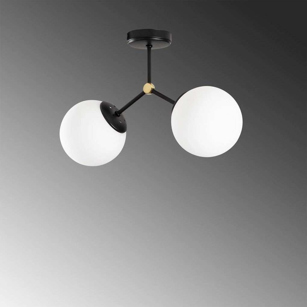 Damar - 6331