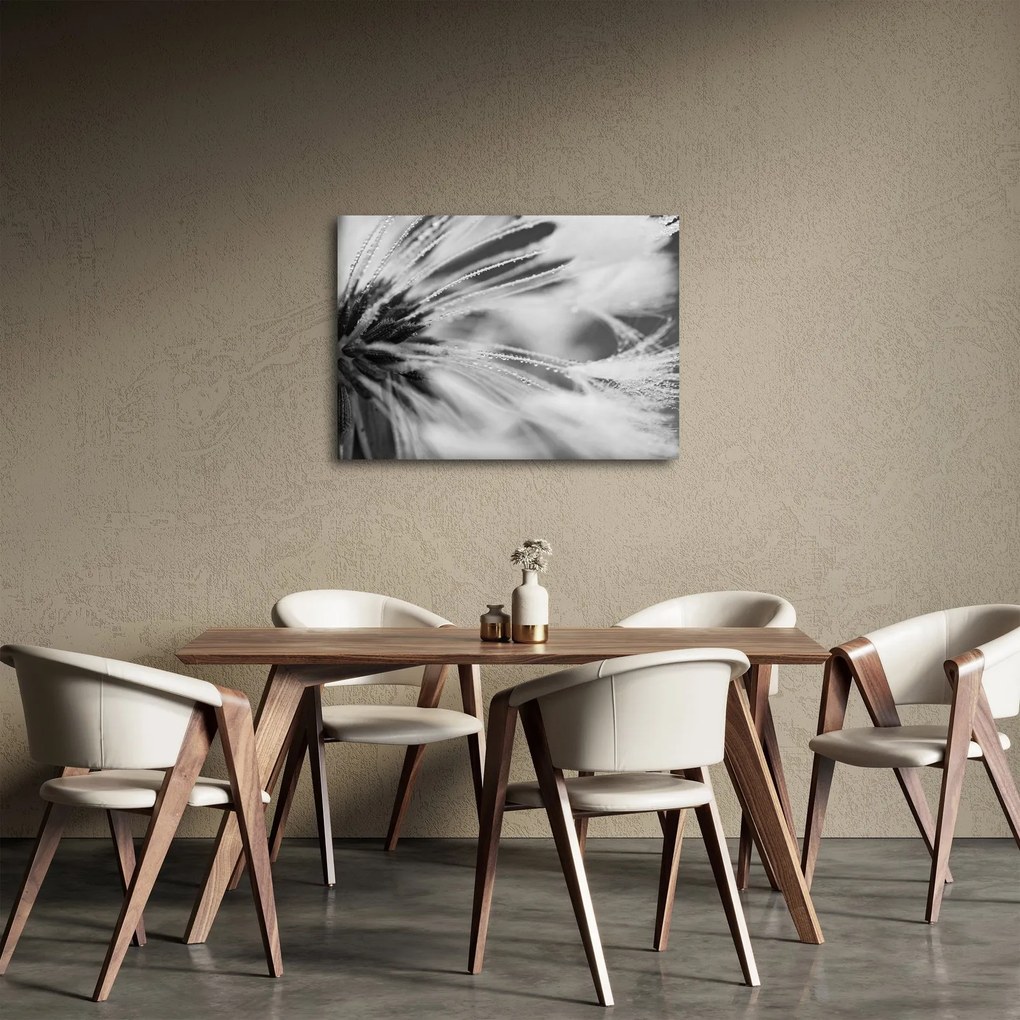 Obraz - Makro, čiernobiela (70x50 cm)