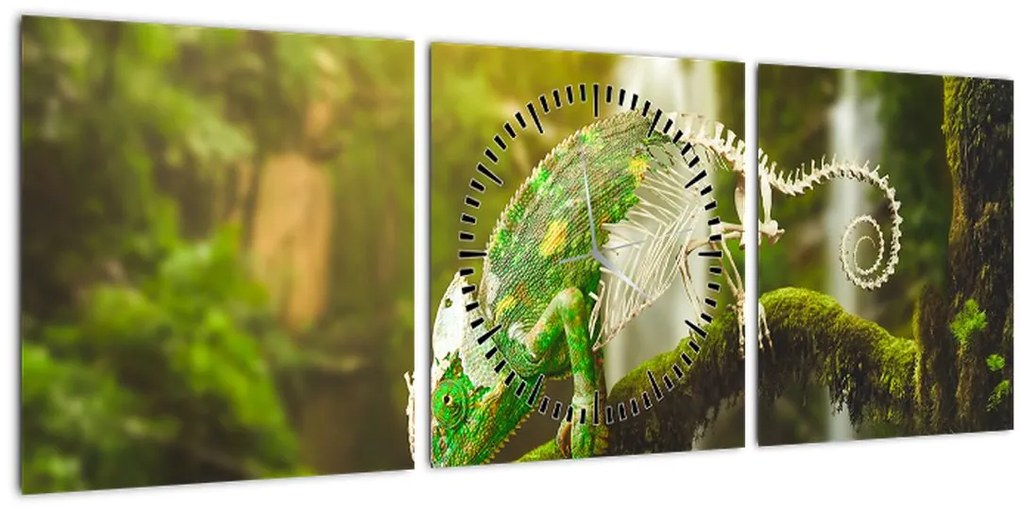 Obraz chameleóna (s hodinami) (90x30 cm)