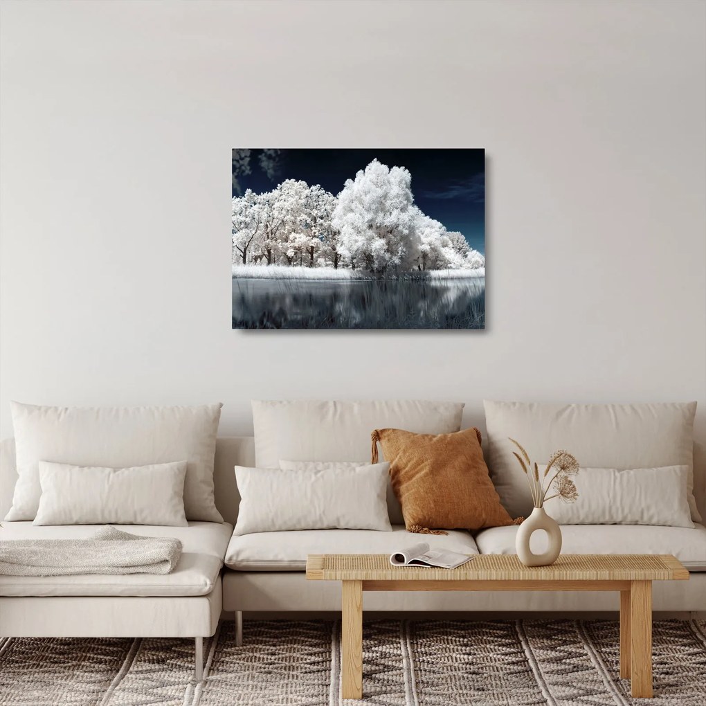 Sklenený obraz - Snehobiele stromy (70x50 cm)