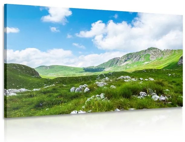 Obraz údolie v Čiernej Hore Varianta: 120x80