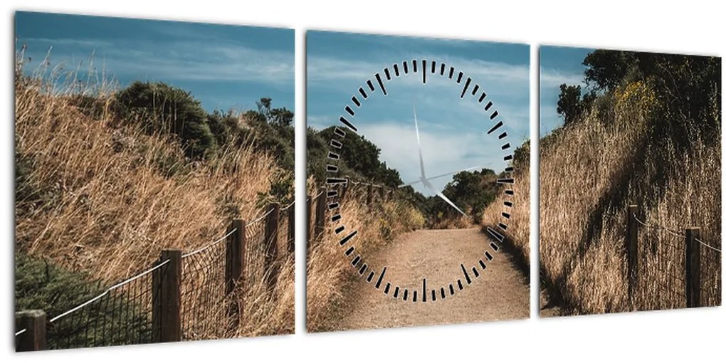 Obraz - Na chodníku (s hodinami) (90x30 cm)