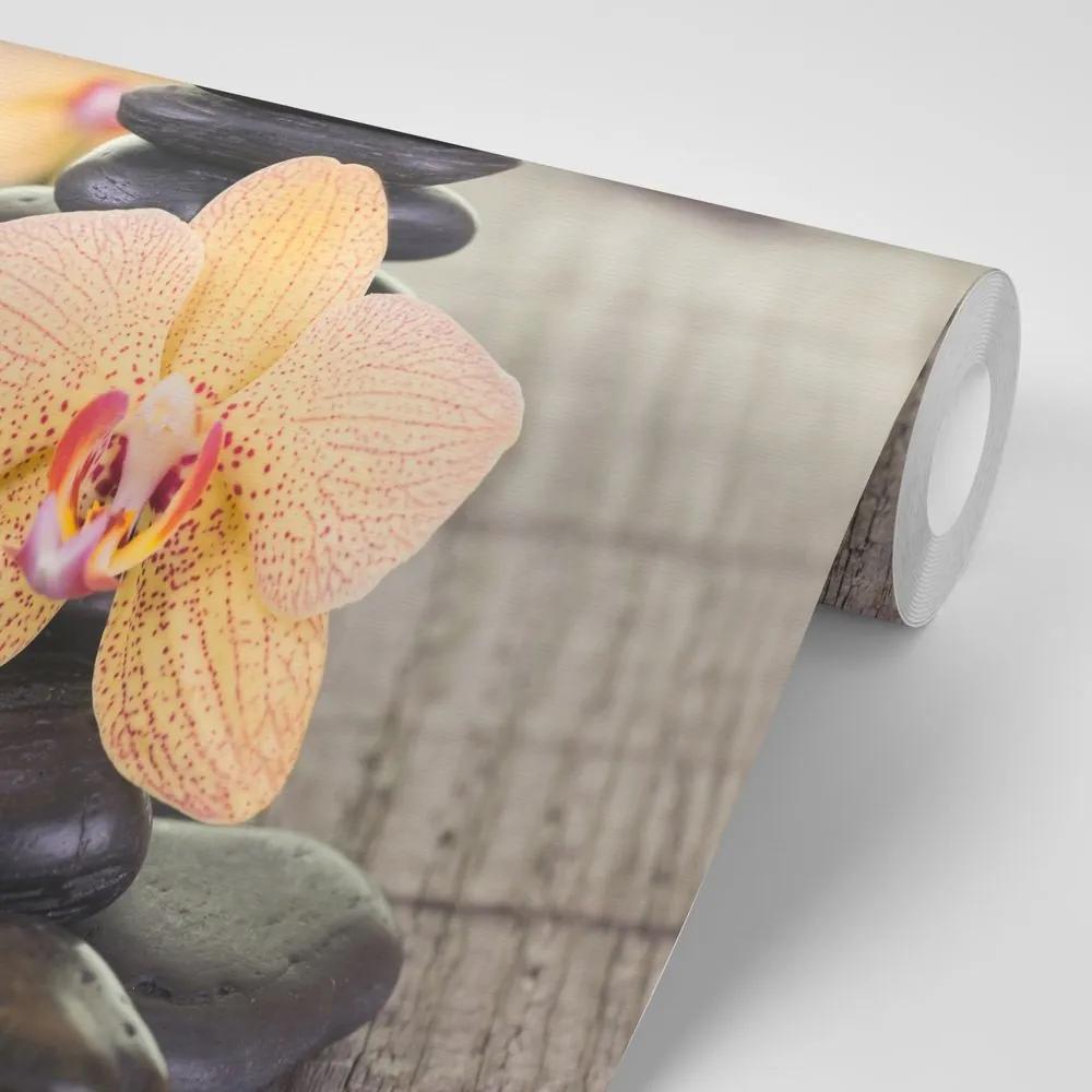 Fototapeta orchidea a Zen kamene - 225x150