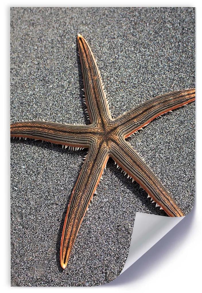 Gario Plagát Hviezdice na brehu mora Farba rámu: Bez rámu, Rozmery: 20 x 30 cm