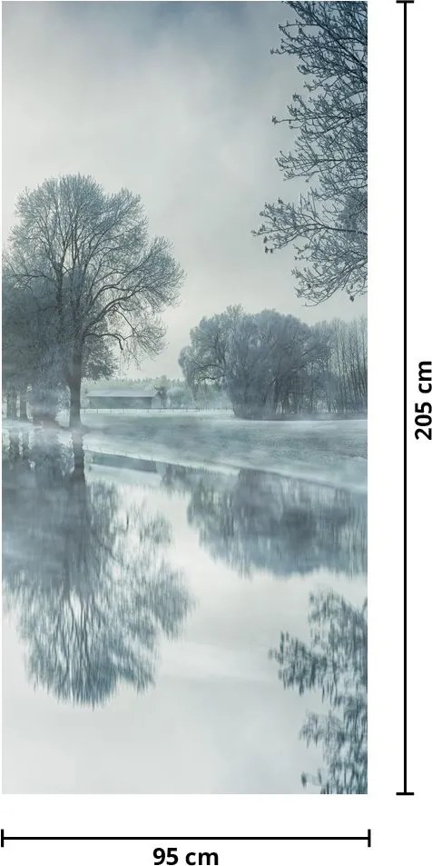 Fototapeta na dvere - Zimná príroda (95x205cm)