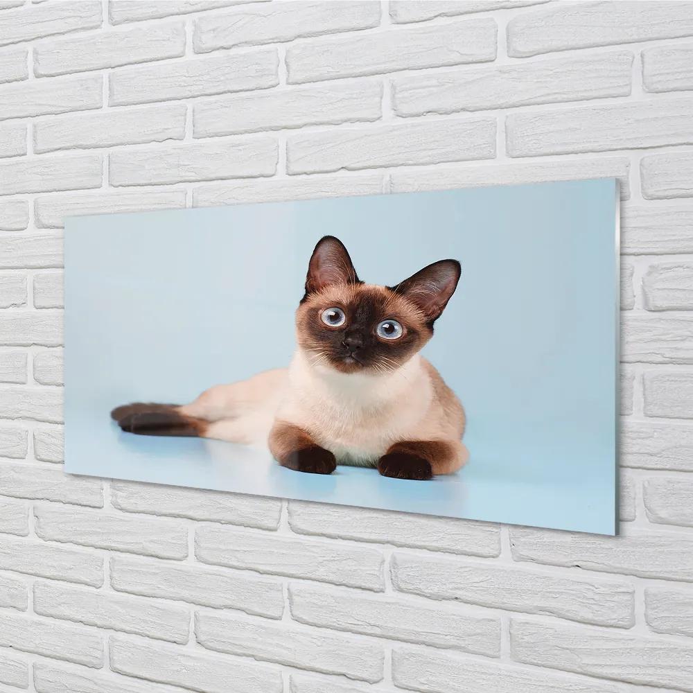 Nástenný panel  ležiace mačka 120x60 cm