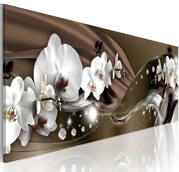 Obraz - Chocolate Dance of Orchid Veľkosť: 135x45, Verzia: Premium Print