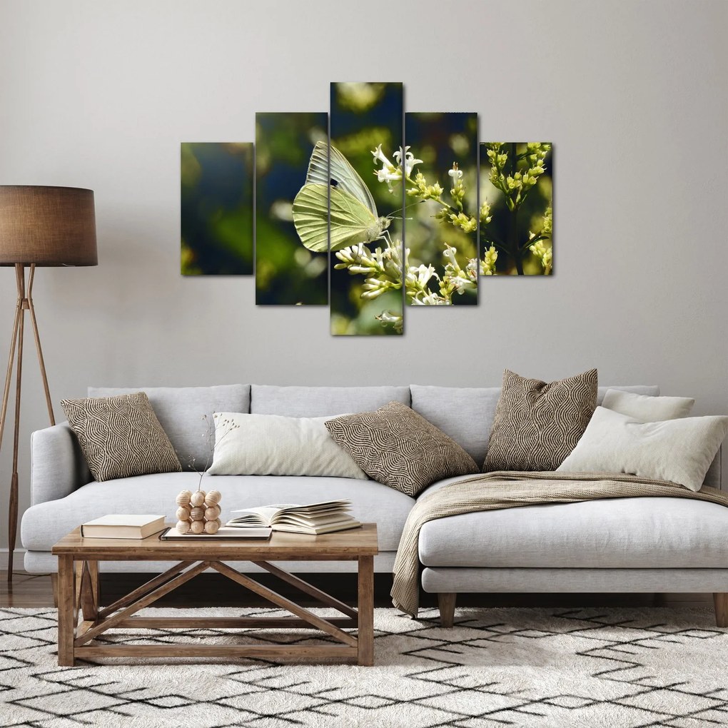 Obraz motýľa (150x105 cm)