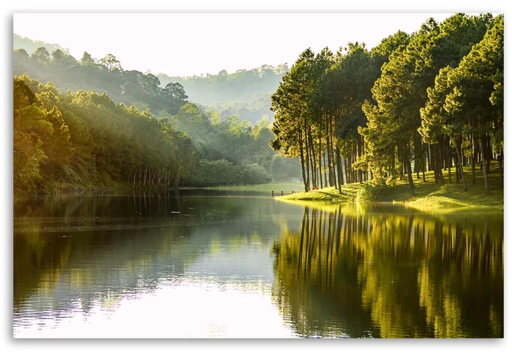 Obraz na plátně, Příroda lesního stromu krajiny - 100x70 cm