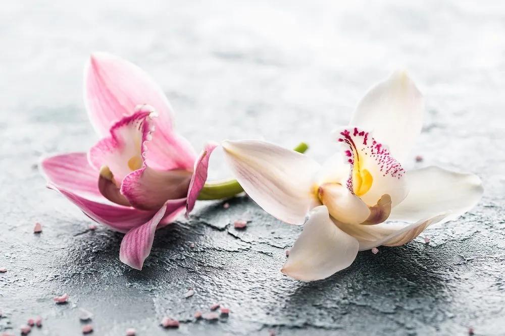 Samolepiaca fototapeta kvety orchidey - 150x100