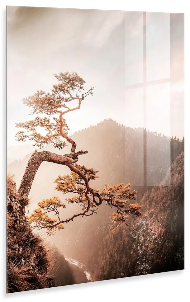 Sklenený obraz 50x70 cm Brown Tree - Styler