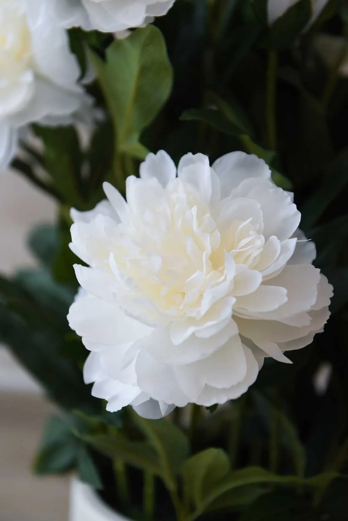 Umelá pivonka v krémovom kvetináči PEONY, výška 70 cm, biela