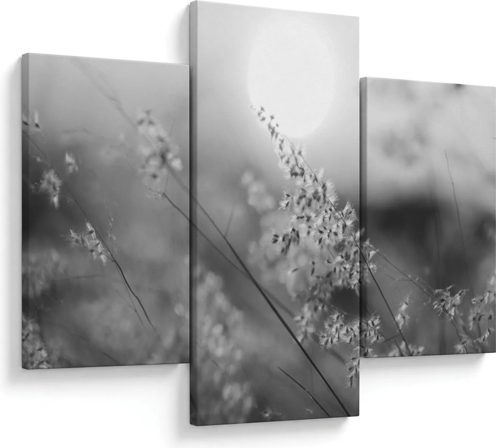 Obraz - Jesenná lúka (90x60 cm)