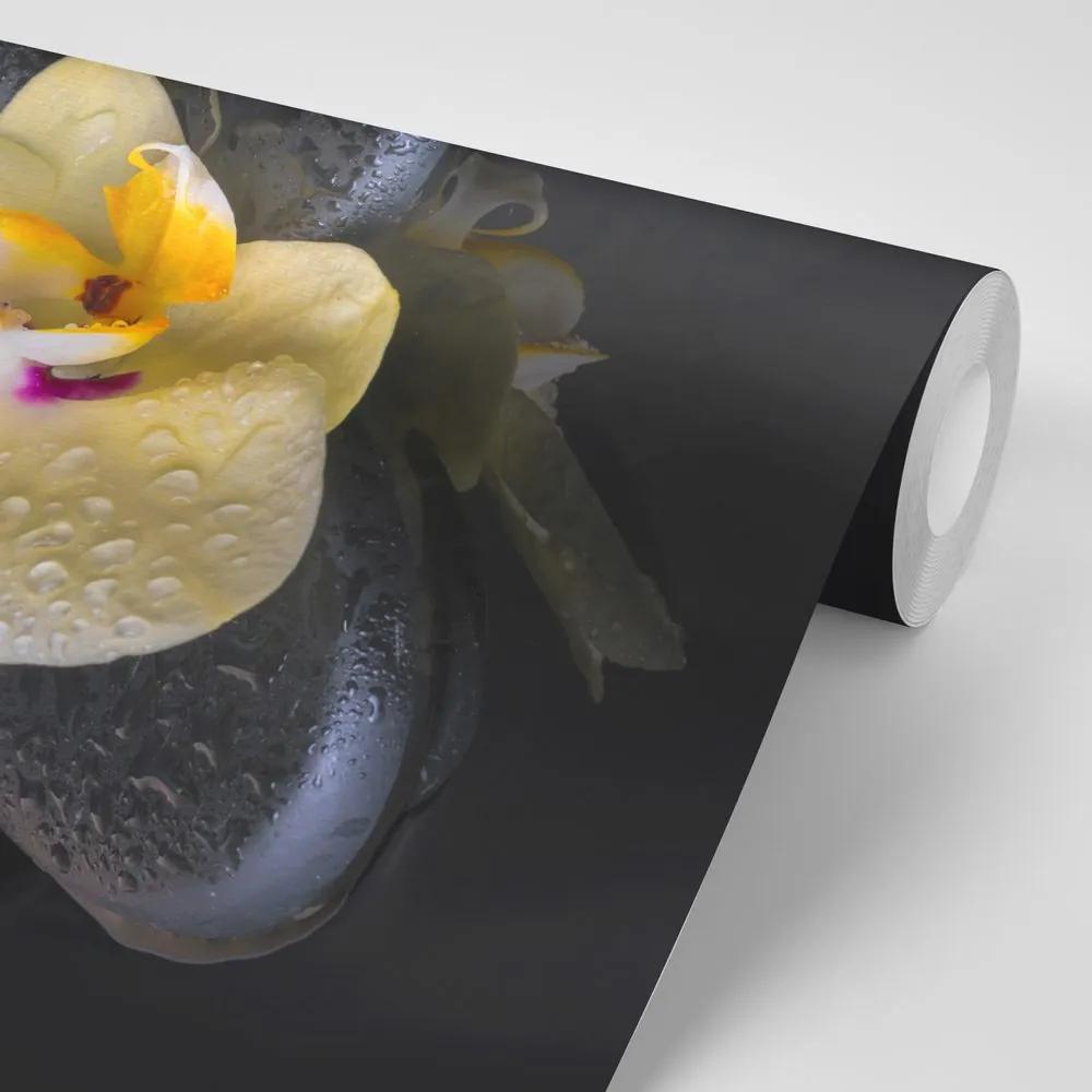 Samolepiaca fototapeta kompozícia kameňov so žltou orchideou