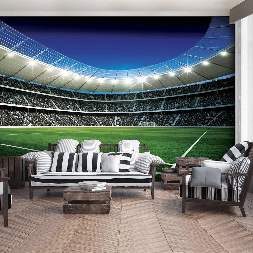 Fototapeta - Futbalové ihrisko (152,5x104 cm)