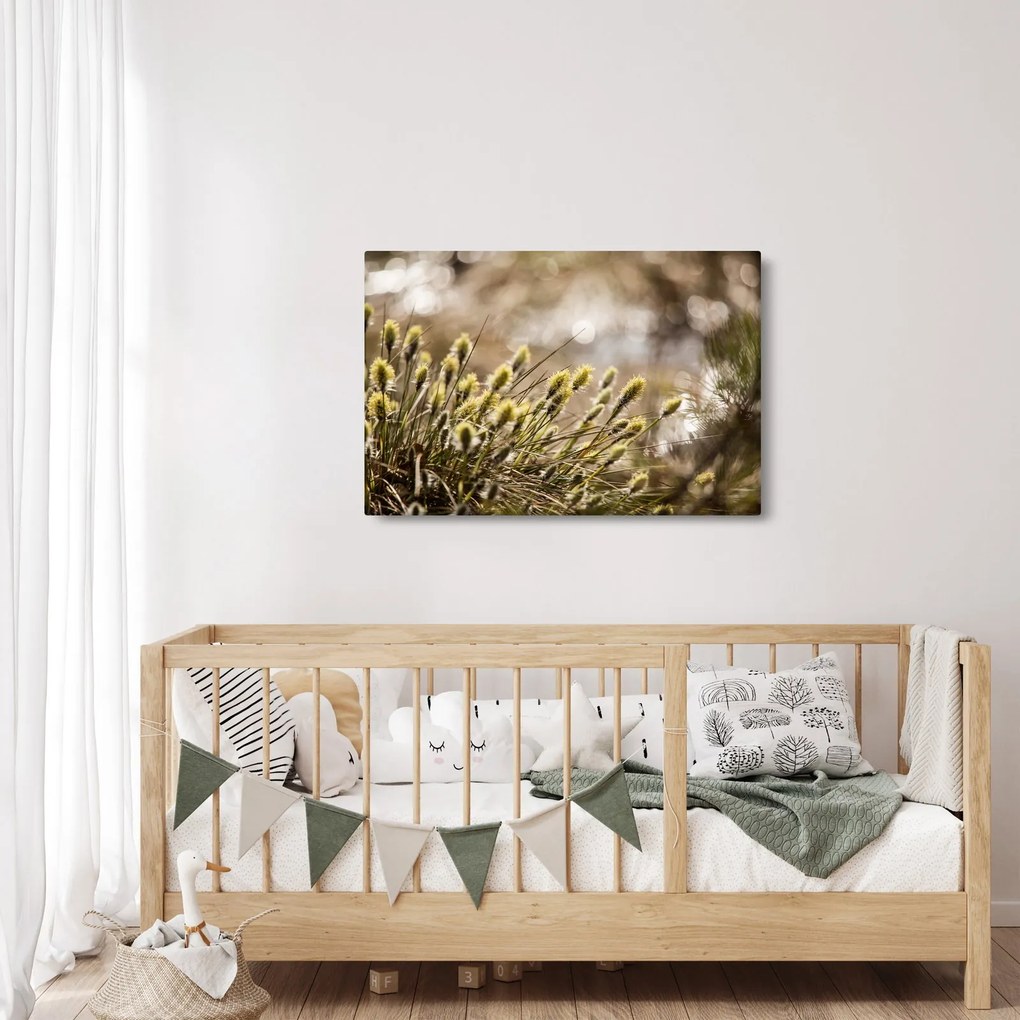 Obraz - Zeleň (90x60 cm)