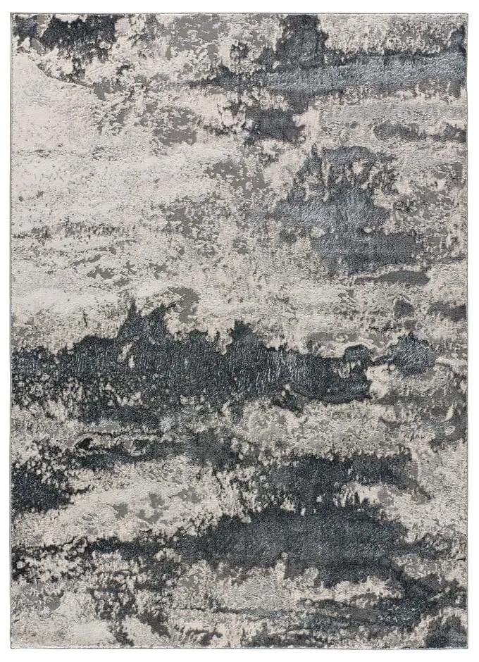 Sivý koberec 160x230 cm Agata – Universal