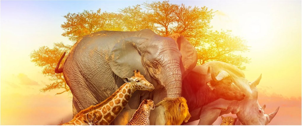 Obraz afrických zvieratiek (120x50 cm)
