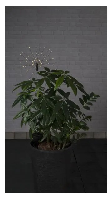Vonkajšie solárne LED svietidlo s bielymi diódami Star Trading Firework, výška 100 cm