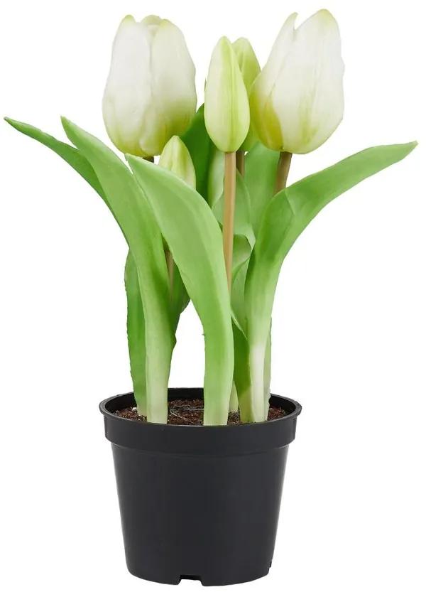 Butlers FLORISTA Tulipány "Real Touch" v kvetináči - sivobiela