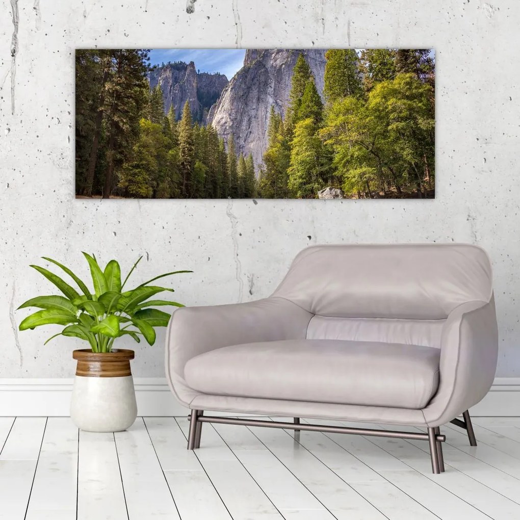 Obraz - Pod Yosemite skalou (120x50 cm)