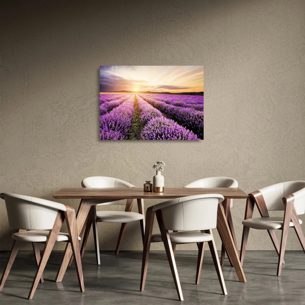 Sklenený obraz - Východ slnka v levanduľovom poli (70x50 cm)