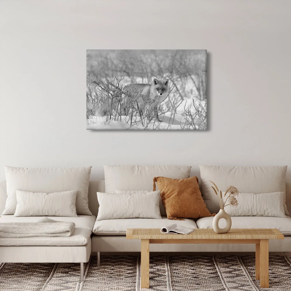 Obraz - Lišiak, čiernobiela (90x60 cm)
