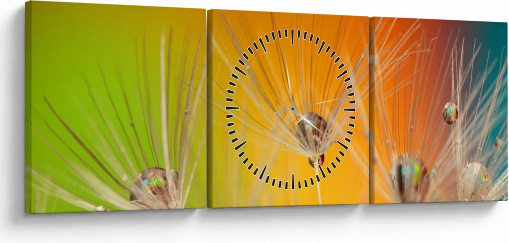 Obraz kvapiek na rastline (s hodinami) (90x30 cm)