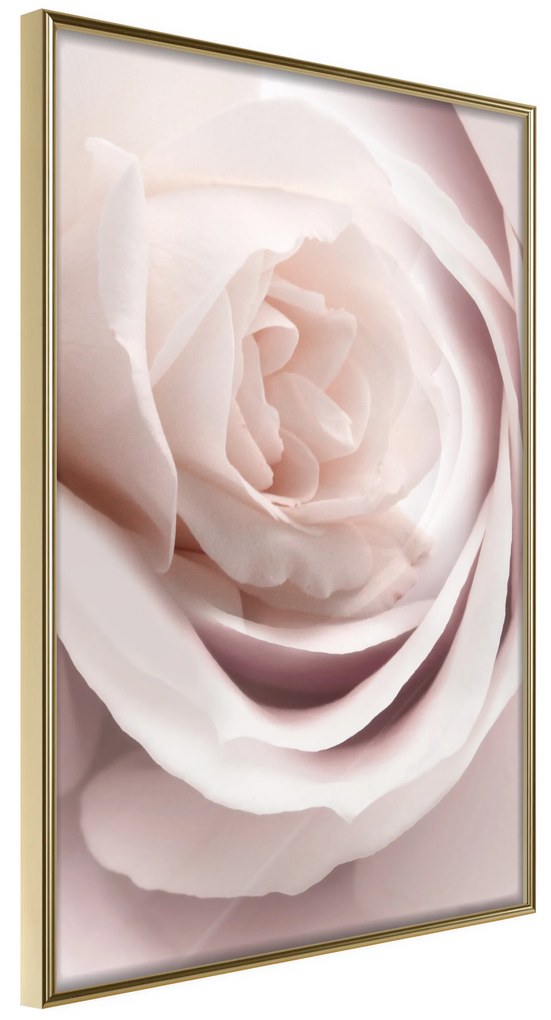 Artgeist Plagát - Porcelain Rose [Poster] Veľkosť: 20x30, Verzia: Zlatý rám s passe-partout