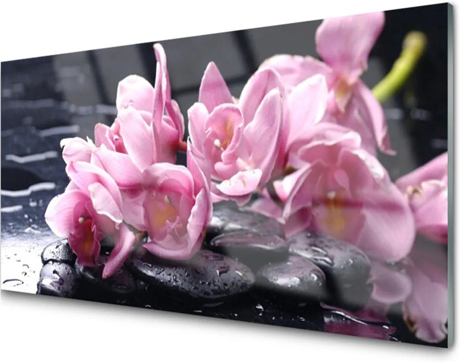 Obraz na skle Kvet kamene rastlina
