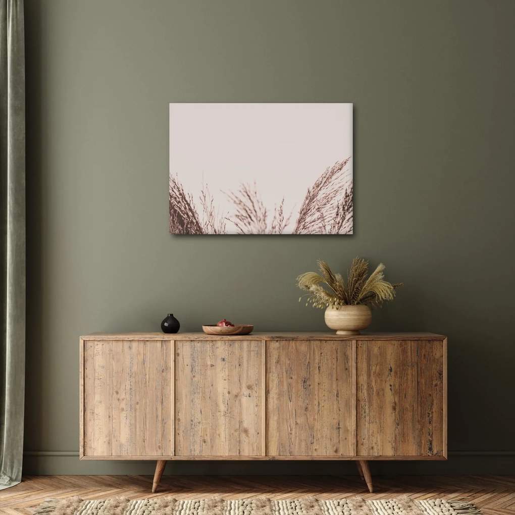 Obraz - Sušená tráva (70x50 cm)