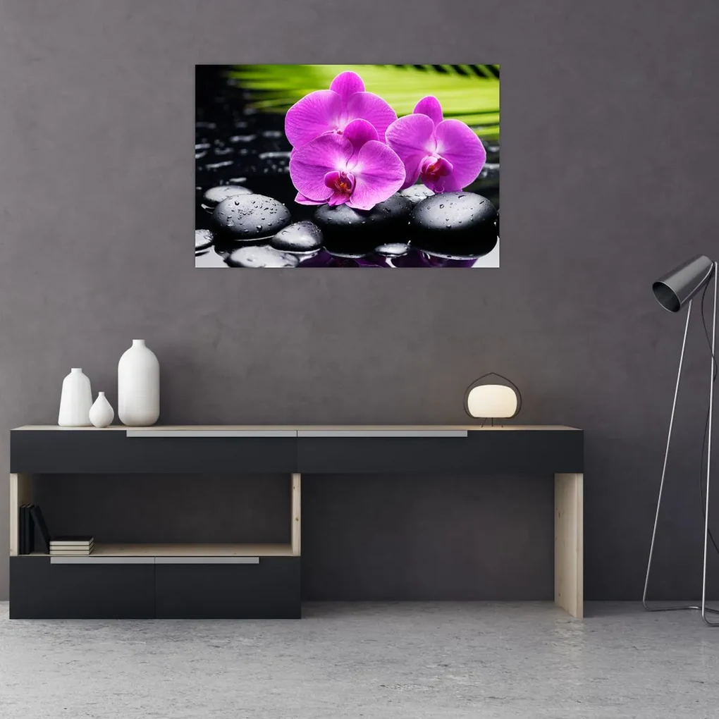 Obraz - Orchidey (90x60 cm)